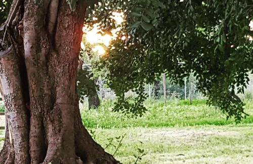 Quinta dos Cochichos – Country Houses - Foto 66