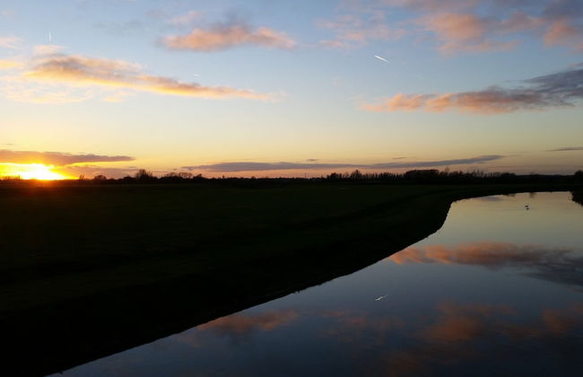 Peaceful Forest Chalet - Photo 29