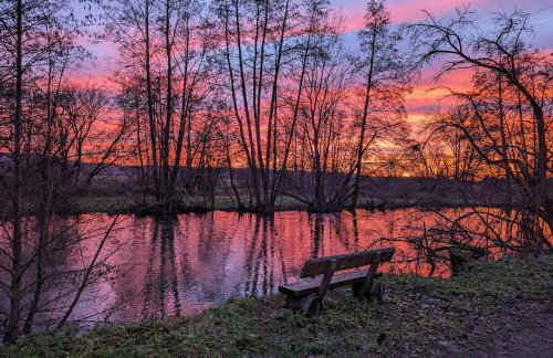 Wiesentblick - Foto 20