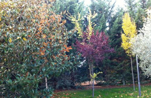 La Alberca - Foto 18