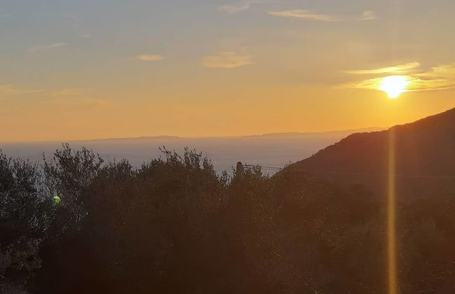 Olive Tree Apartment - Foto 62