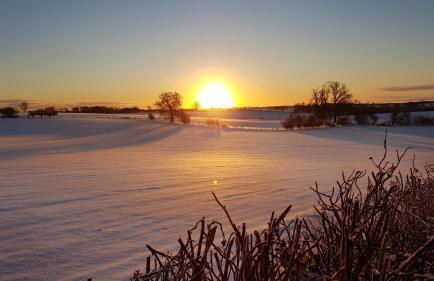 Bastle Retreats Farm Cottage - Foto 25