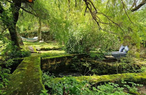 La Providence, Moulin du XIIIe siècle - Photo 36