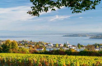 Ferienwohnung Strandgut - Foto 22