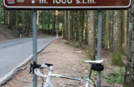 Casa Foresto, Vallombrosa, wifi, pet friendly - Foto 40