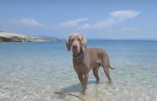 Adorable Stone House With Terrace Near the Beach - Foto 34