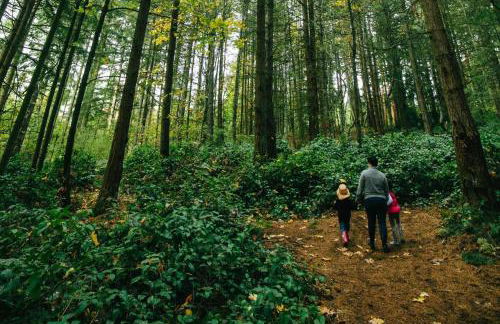 Bothell Family Friendly Modern Home 2 AC I405 - Foto 33