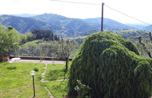 Casa Zita dei fiori - Foto 7