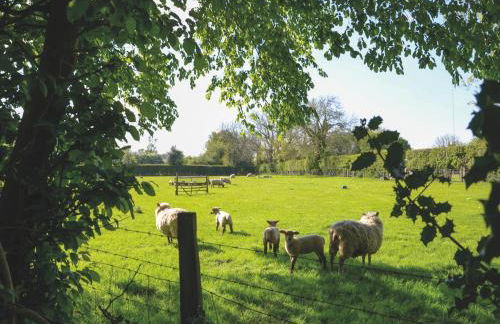 Rural Farm Cottage nr Canterbury - logburner, parking, 2bed and 2bath -idyllic setting - Foto 33