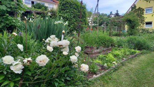 Freilandhof - Foto 3