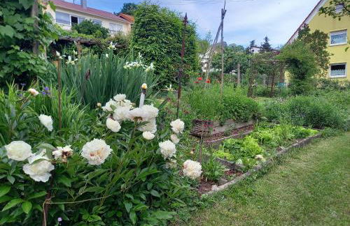 Freilandhof - Foto 3