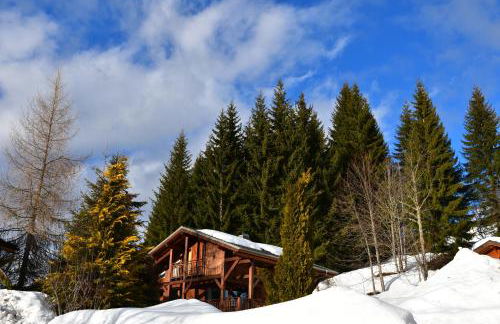 Chalet Orlando - Foto 14