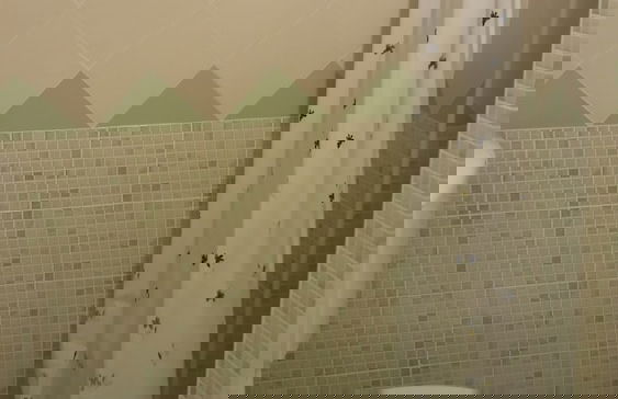 Agrisicilia - Foto 11