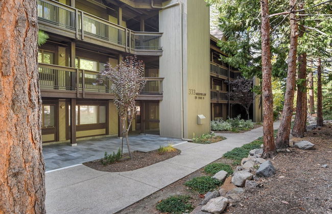 Escape to Incline Village! Min to Beach and Skiing - Photo 36