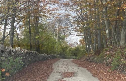 Casa Tilia - Foto 39