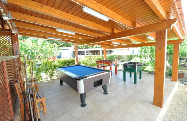 Flor da Laranja - Foto 45