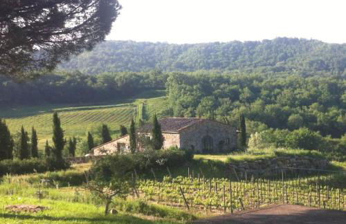 Podere Terreno alla Via della Volpaia - Foto 77