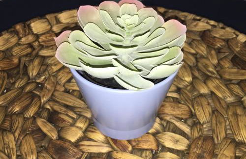 Varandas do Basalto - Photo 2