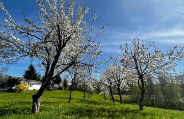 Lake House Family - Foto 24