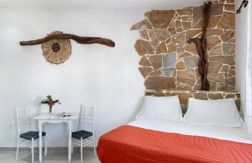 Politimis Studio N1 - Photo 1