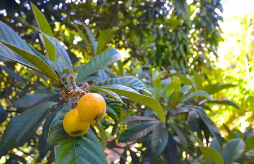 Vila da Sol Itaipava casas e estúdios - Foto 44