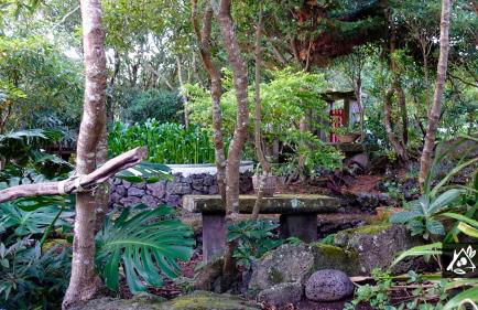 Quinta do Paraíso - Photo 52