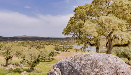 Monte Velho Equo-Resort - Foto 4