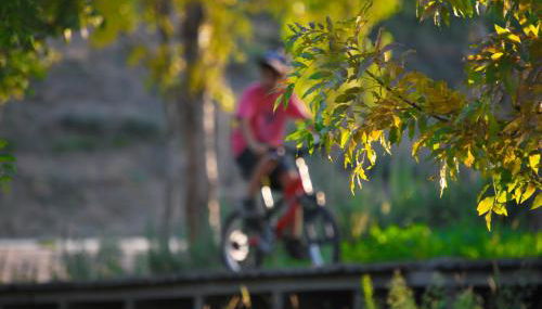Alojamentos Turísticos São Torcato Moradal Turismo Espaço Rural - Foto 4, young children