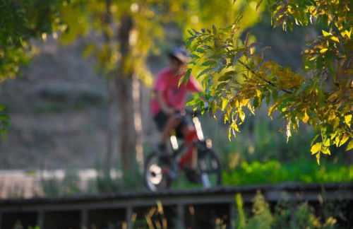 Alojamentos Turísticos São Torcato Moradal Turismo Espaço Rural - Foto 4