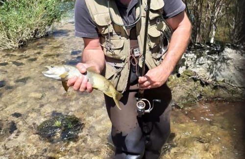 Gite les carriaux - Foto 40