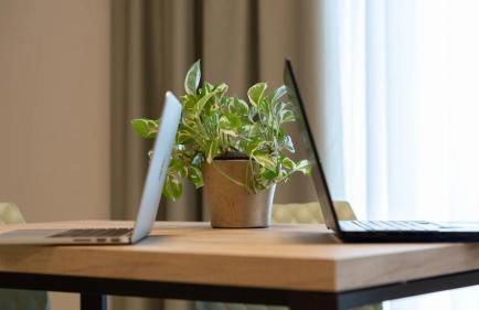 Residence La Punta - Foto 57