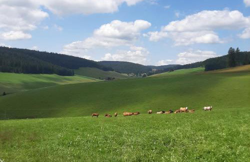 Haus Zum Sternen - Photo 49