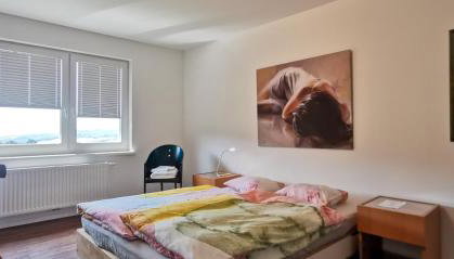 Südschwarzwald Ferienhaus für Gruppen & Monteure - Foto 4