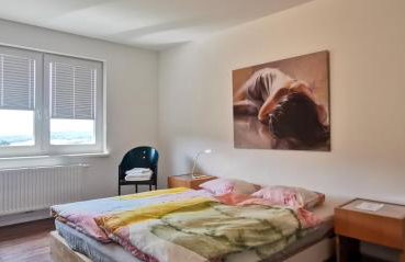 Südschwarzwald Ferienhaus für Gruppen & Monteure - Foto 4