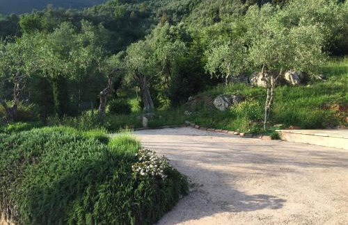 Valuable rustic Tuscan swimming pool, breathtaking view of Camaiore - Photo 9