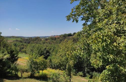 Kraljeva hiža - Apartmani i sobe Kralj - Foto 59