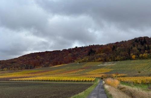 Panorama 180 - Foto 59