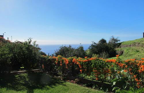 Blooming Botanic Houses - Foto 19