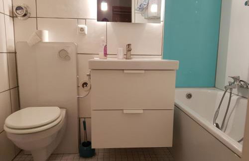 Sonnenblume - Photo 6