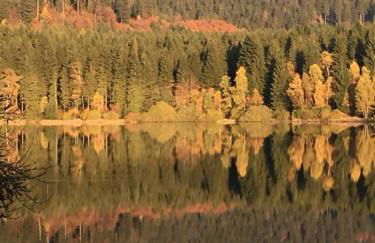 Ferienwohnung Am Apelsberg - Foto 14