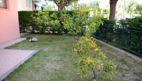 Appartamenti La Residenza - Photo 4