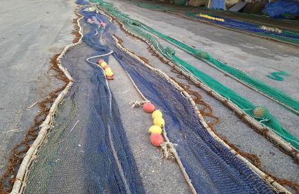 Alojamiento La Piragua - Photo 23