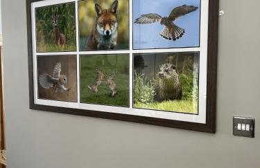 The Cosy Cottage - Foto 13