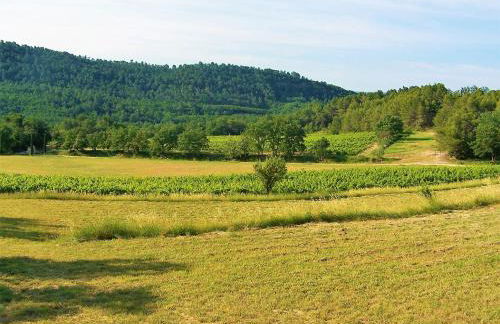 Le Mas Sérénité - Foto 36