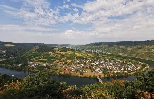 Ferienwohnung Moselpanorama - Foto 47