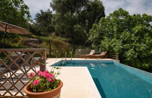 Villa Serenita in Agios Georgios - Foto 62