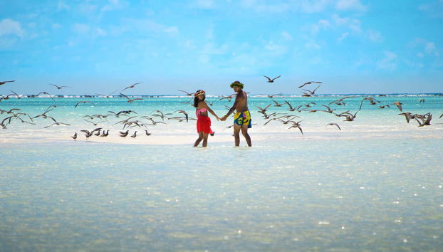 Tetiaroa Catamaran Day Trip - Foto 5