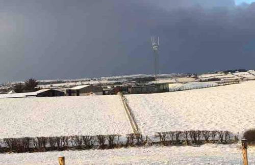 Ballyhemlin Pods - Haw thorn - Foto 8