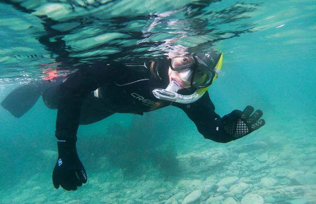 Snorkelling in the Beagle Channel - Photo 6