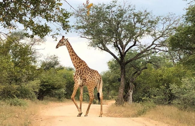 Holiday Home in Hoedspruit With Private Pool - Photo 34